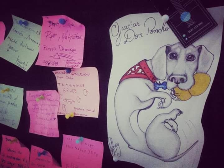 Hostel Don Poncho ヴァルパライソ エクステリア 写真